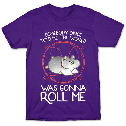 Somebody Once Told Me The World Was Gonna Roll Me T-Shirt