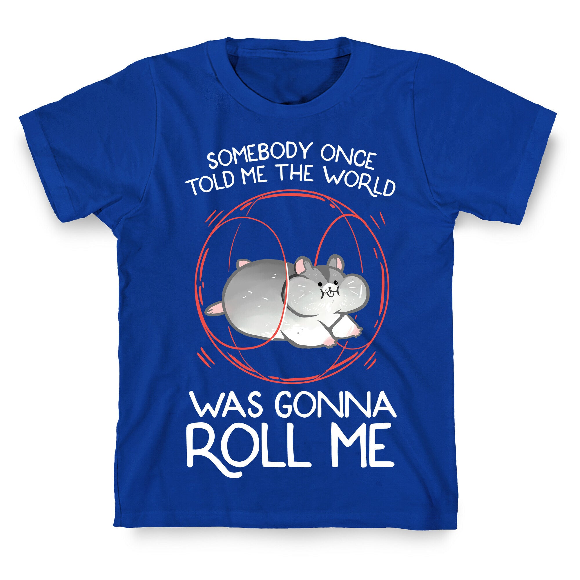 Somebody Once Told Me The World Was Gonna Roll Me T-Shirt