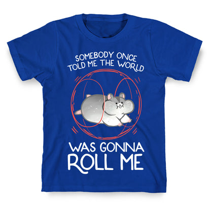 Somebody Once Told Me The World Was Gonna Roll Me T-Shirt