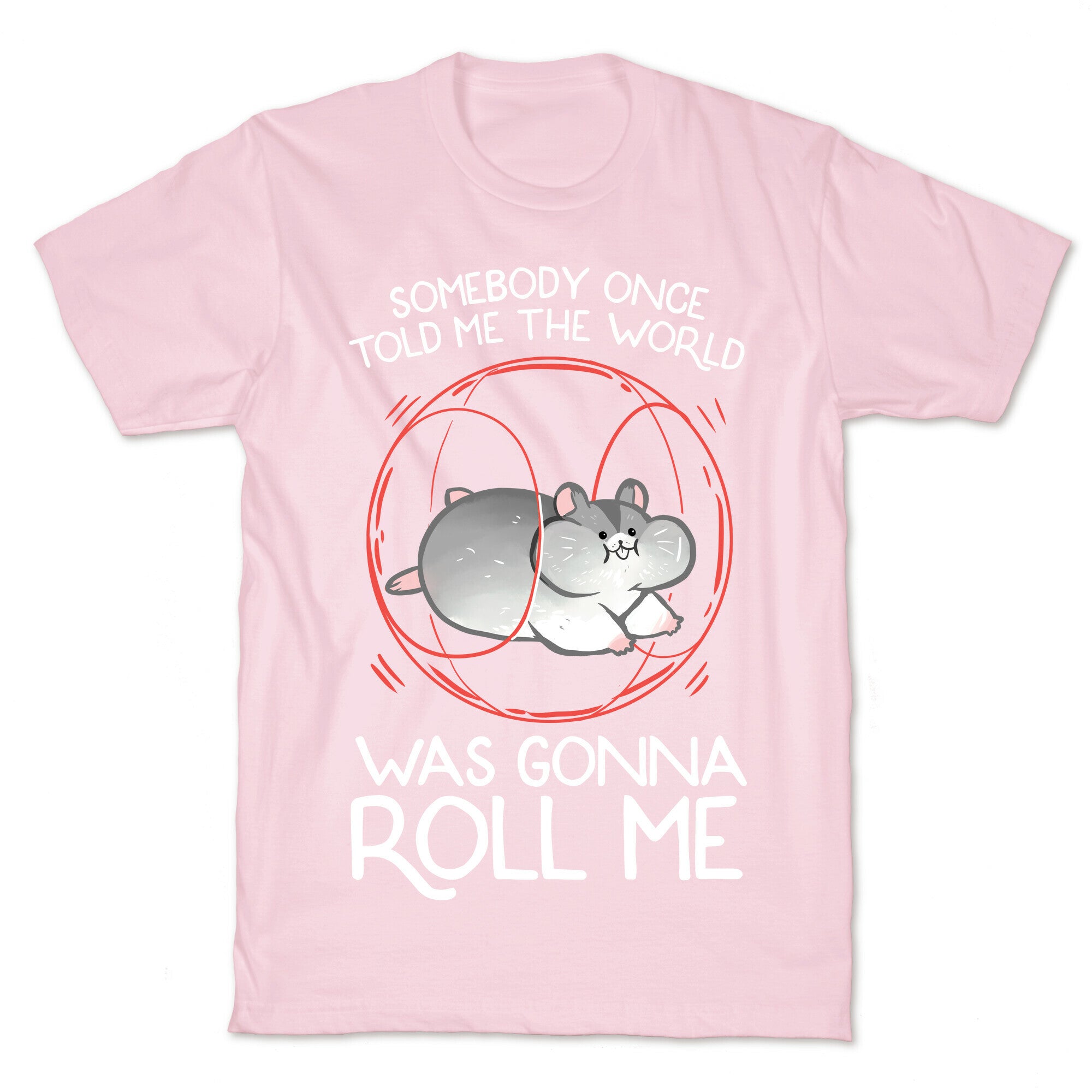 Somebody Once Told Me The World Was Gonna Roll Me T-Shirt