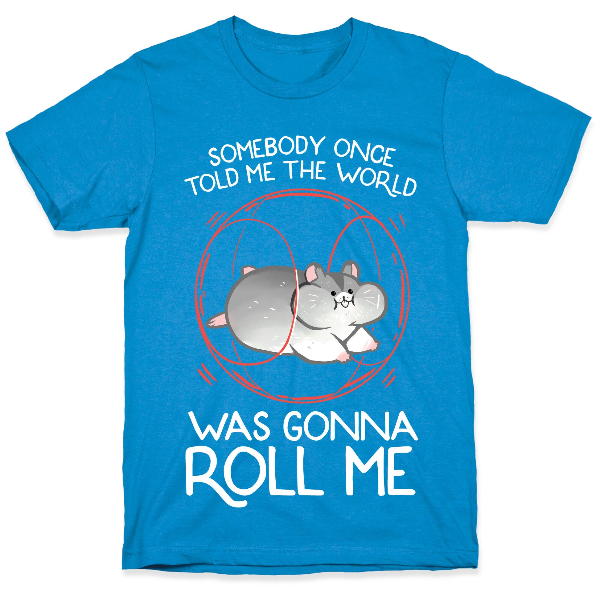Somebody Once Told Me The World Was Gonna Roll Me T-Shirt