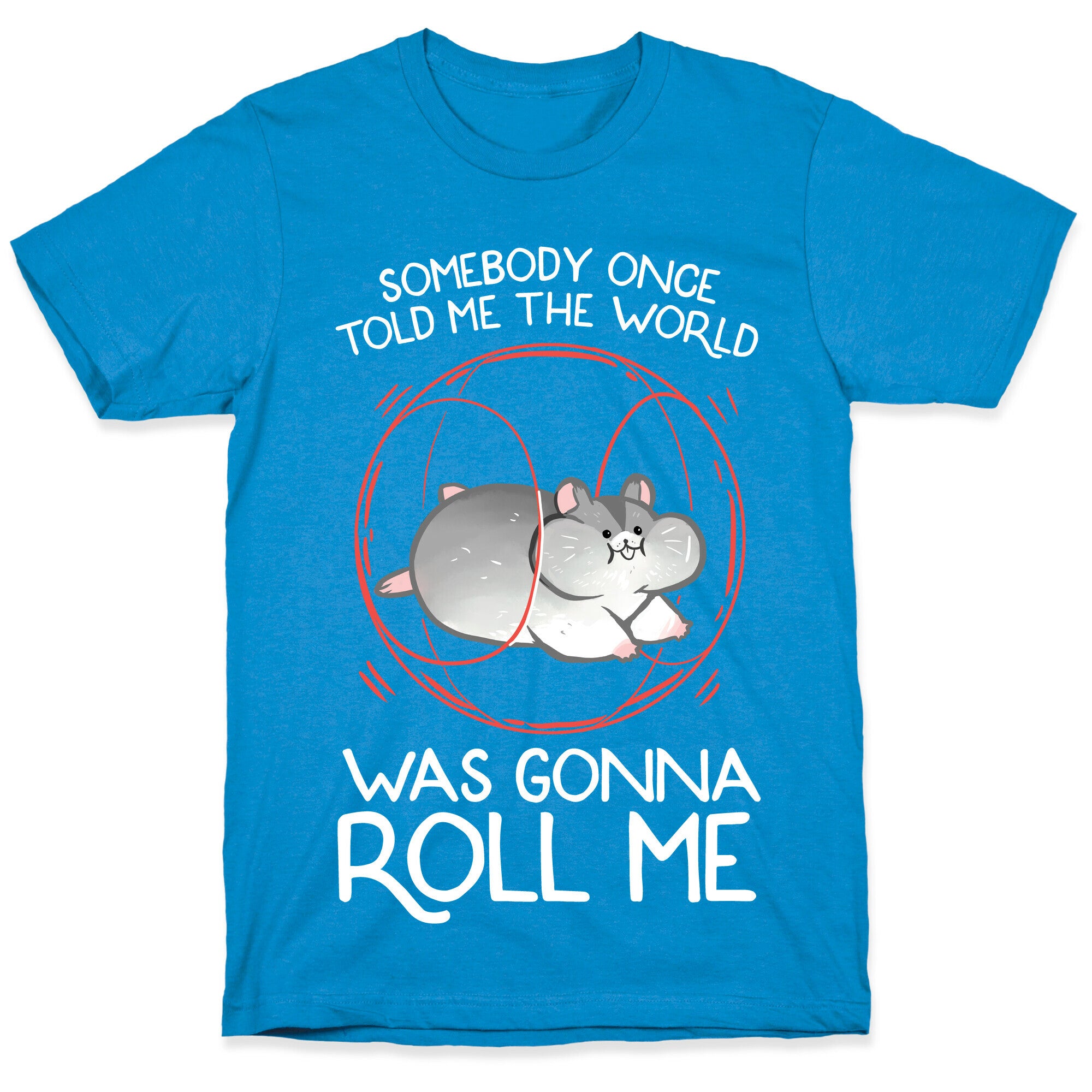 Somebody Once Told Me The World Was Gonna Roll Me T-Shirt