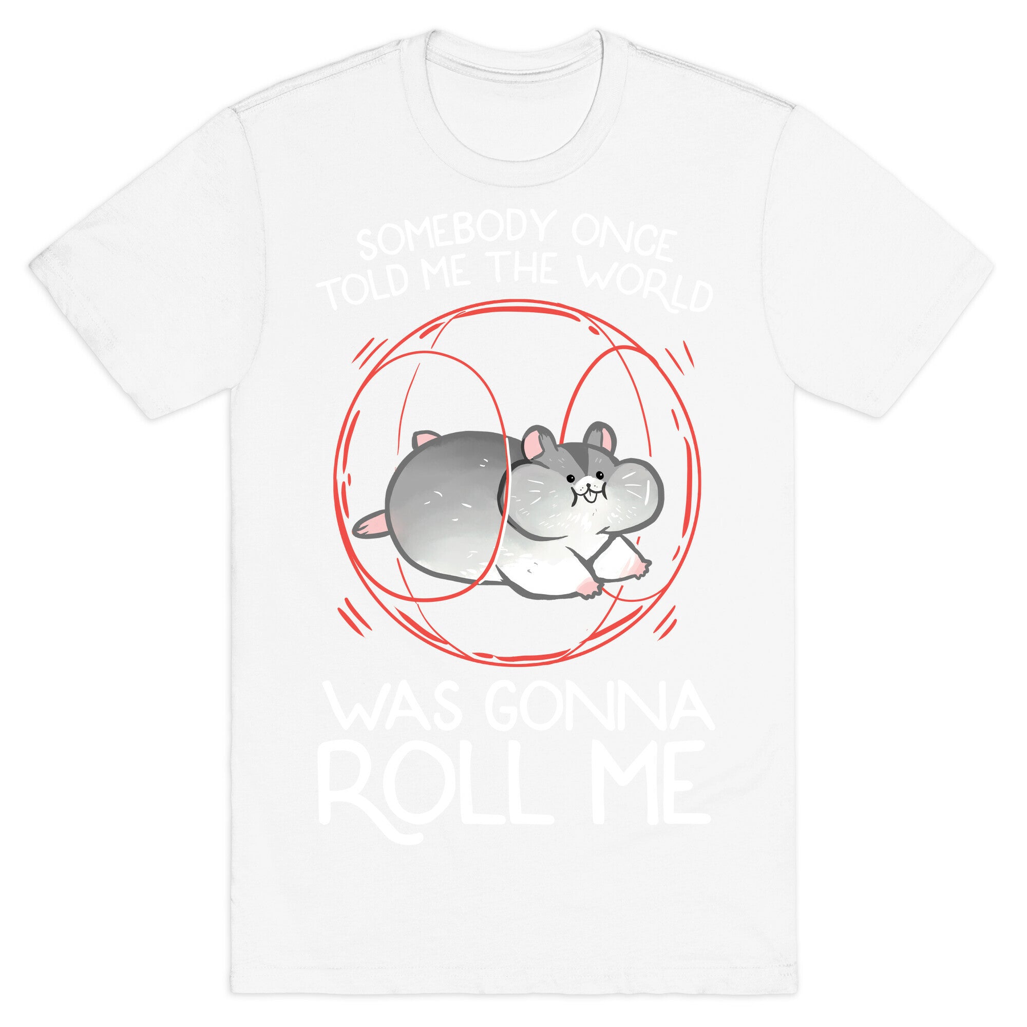 Somebody Once Told Me The World Was Gonna Roll Me T-Shirt