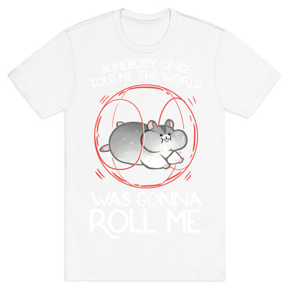 Somebody Once Told Me The World Was Gonna Roll Me T-Shirt