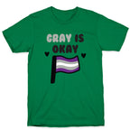 Gray is Okay T-Shirt