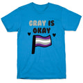Gray is Okay T-Shirt
