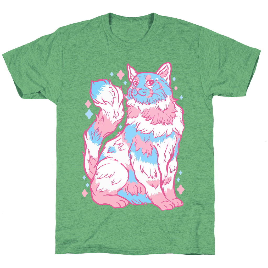 Transgender Pride Cat Unisex Triblend Tee