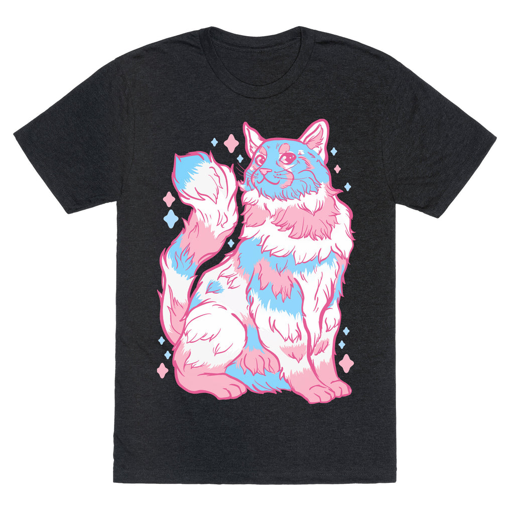 Transgender Pride Cat Unisex Triblend Tee