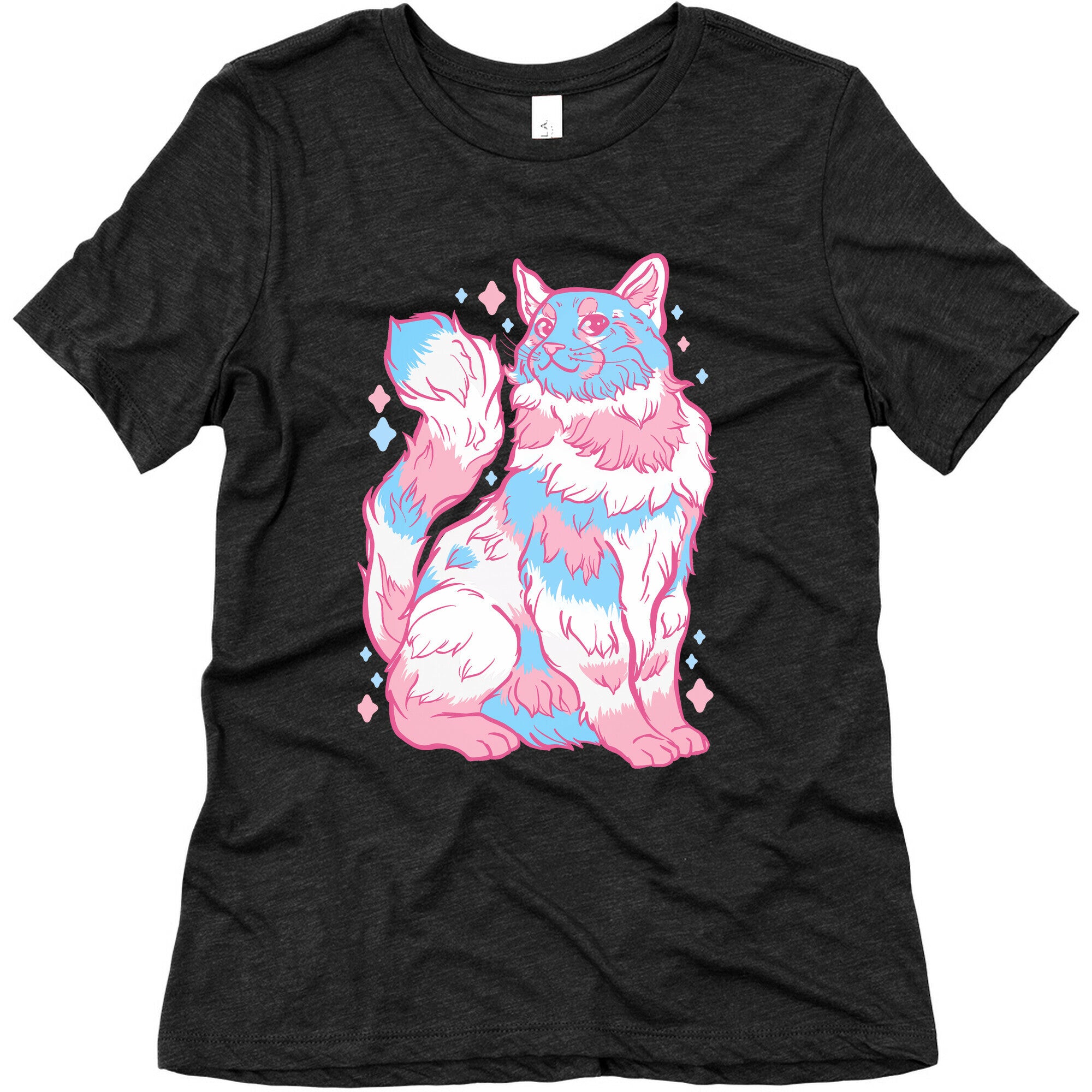 Transgender Pride Cat Women's Triblend Tee