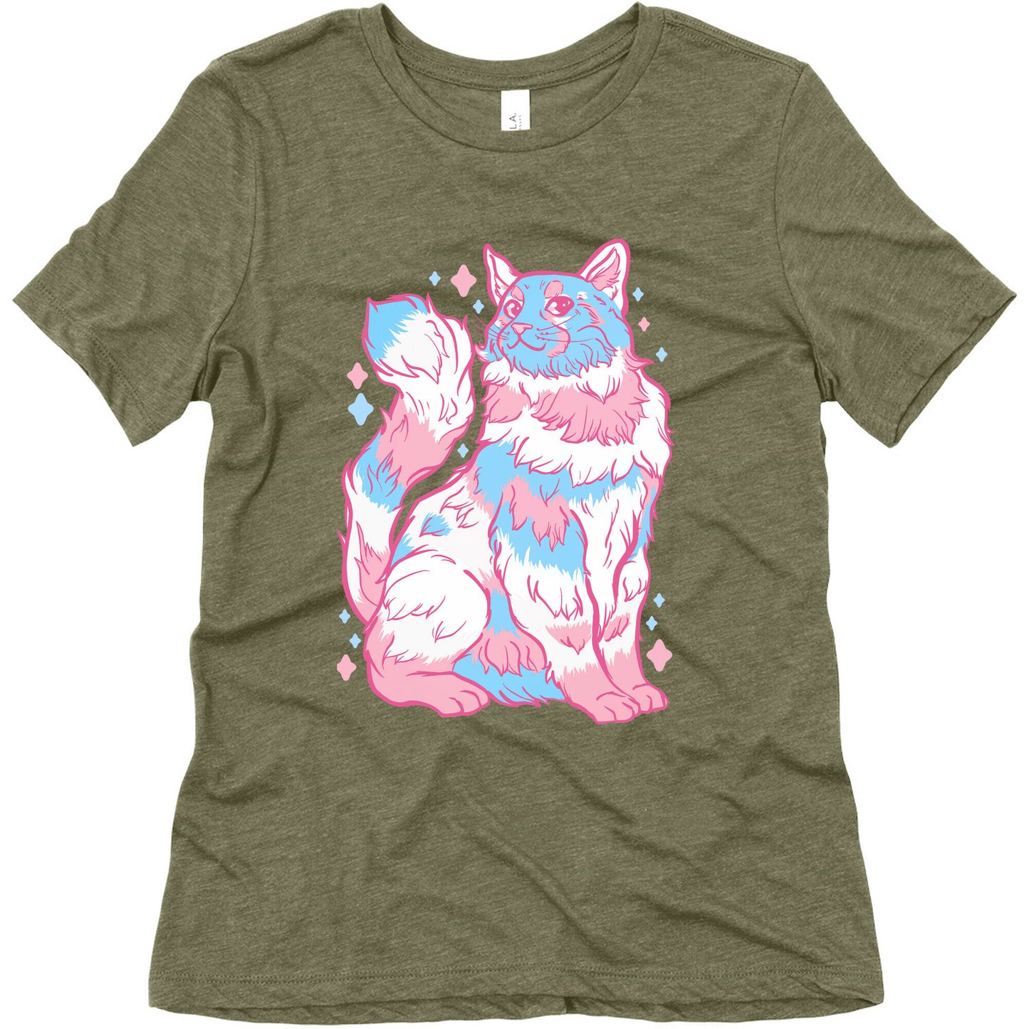 Transgender Pride Cat Women's Triblend Tee