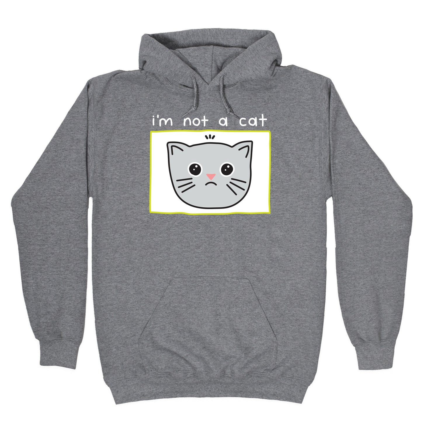 I'm Not A Cat Zoom Filter Hoodie