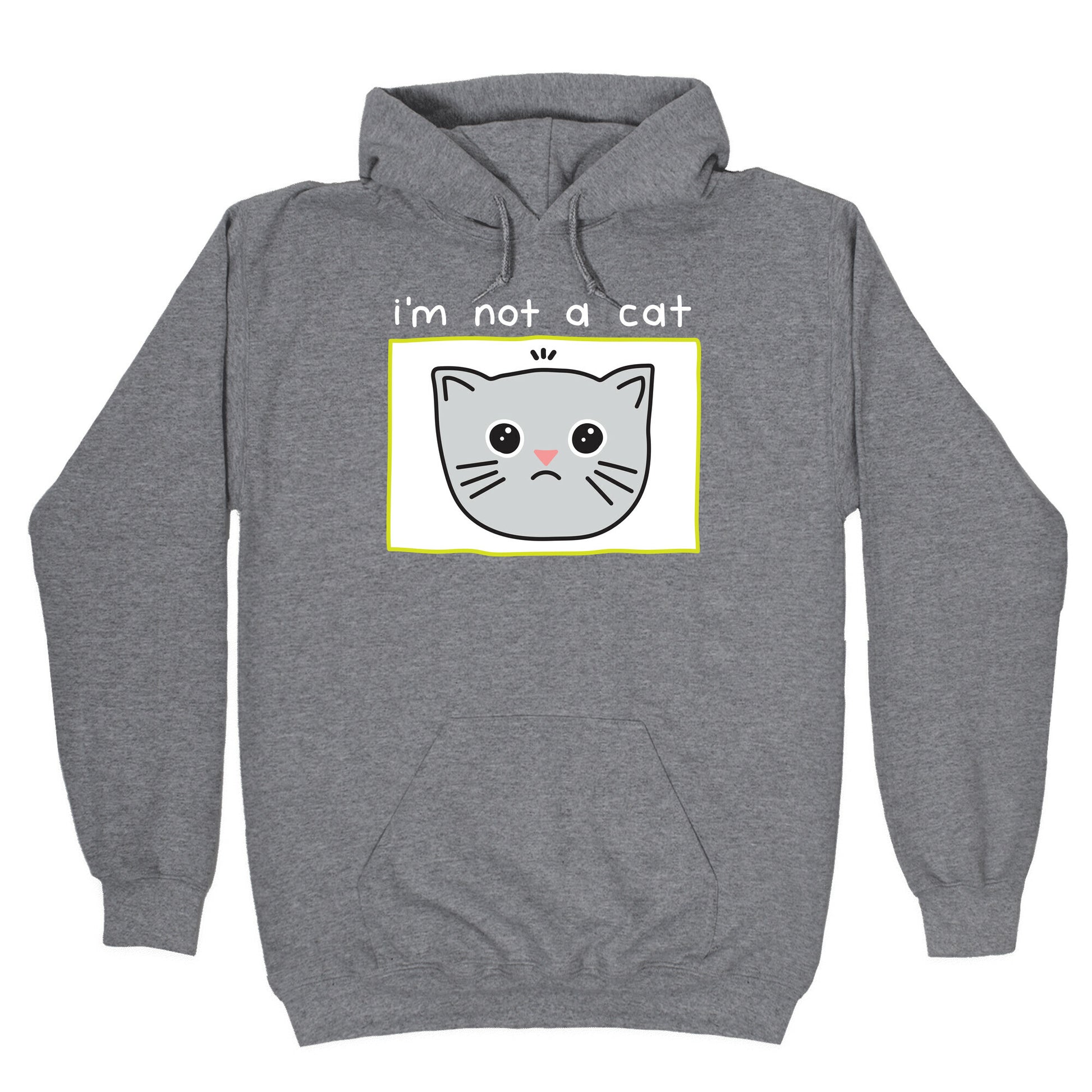 I'm Not A Cat Zoom Filter Hoodie