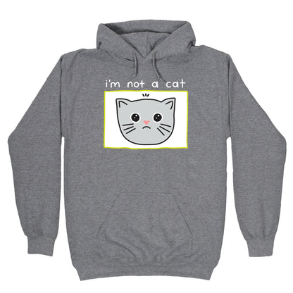 I'm Not A Cat Zoom Filter Hoodie