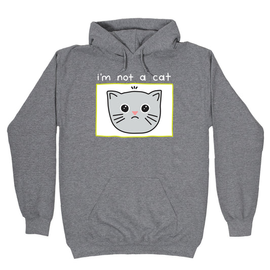 I'm Not A Cat Zoom Filter Hoodie