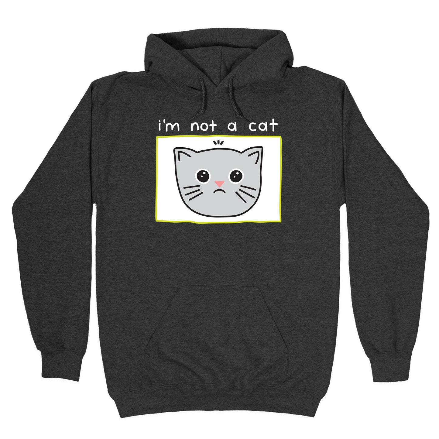 I'm Not A Cat Zoom Filter Hoodie
