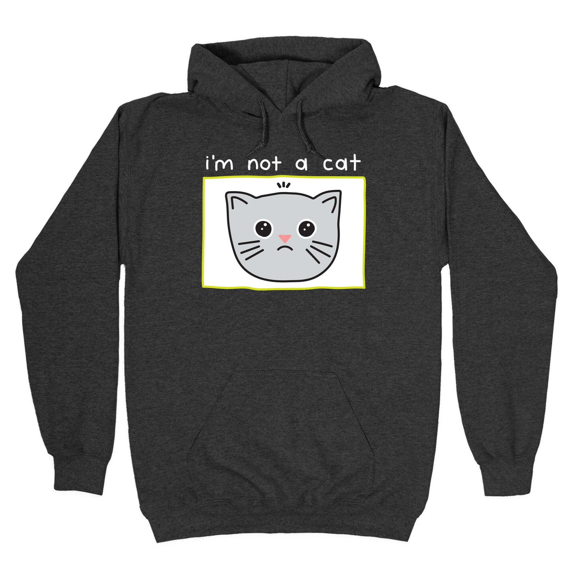 I'm Not A Cat Zoom Filter Hoodie
