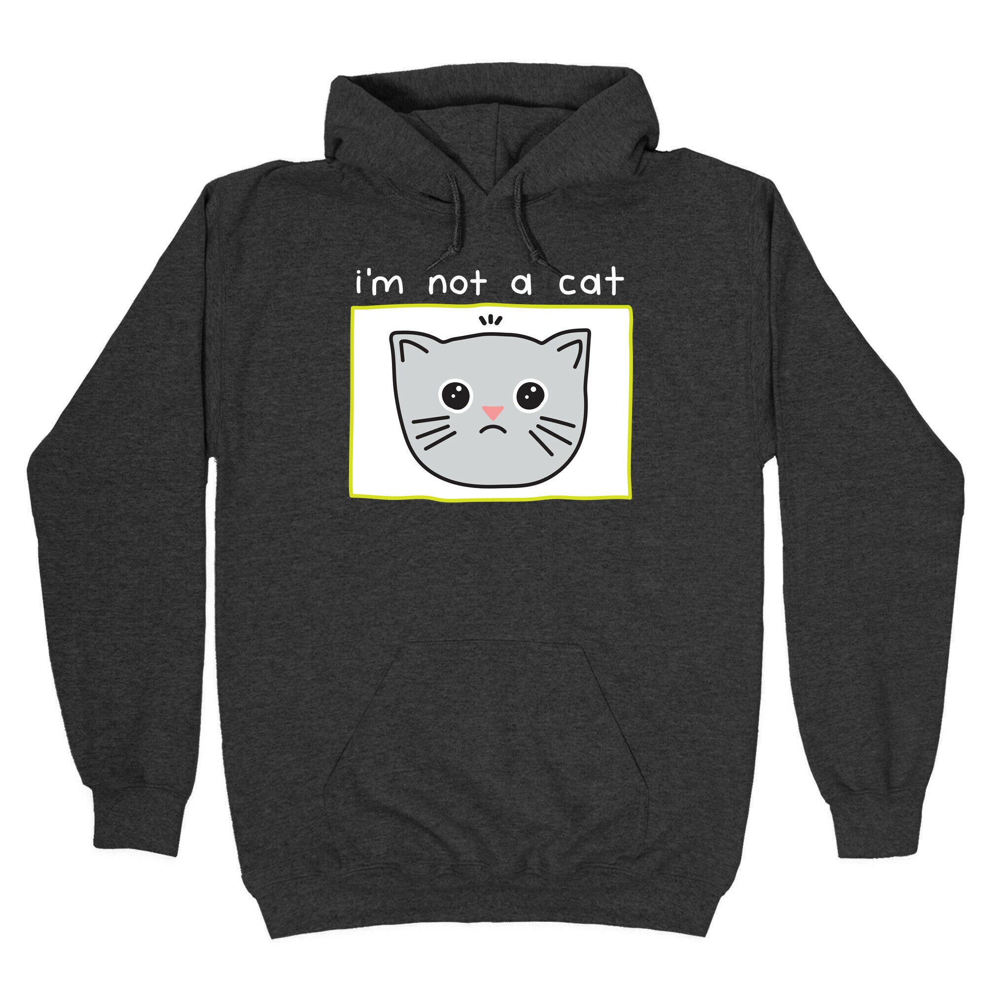 I'm Not A Cat Zoom Filter Hoodie