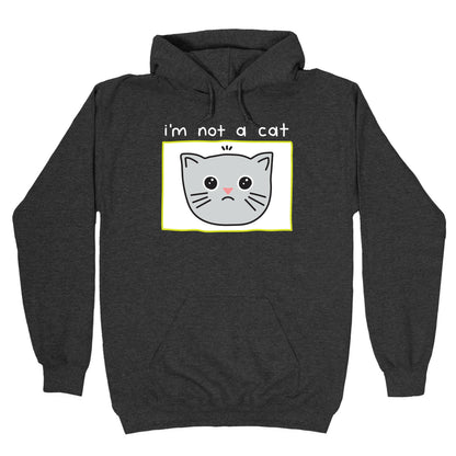 I'm Not A Cat Zoom Filter Hoodie