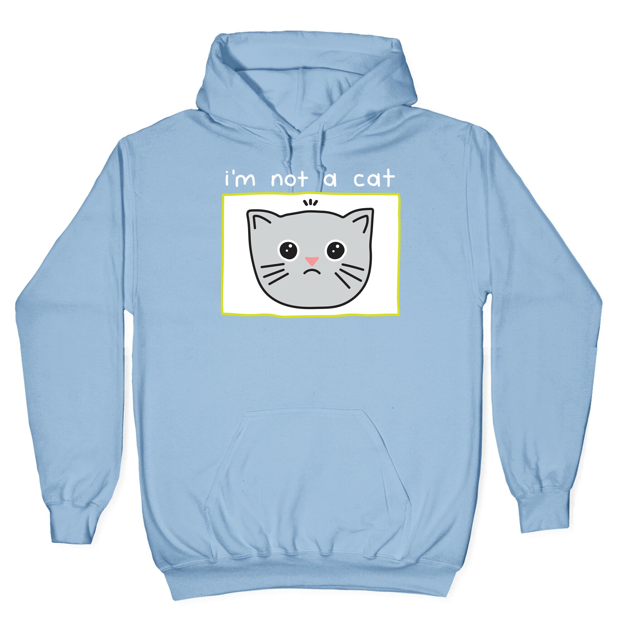 I'm Not A Cat Zoom Filter Hoodie