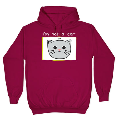 I'm Not A Cat Zoom Filter Hoodie