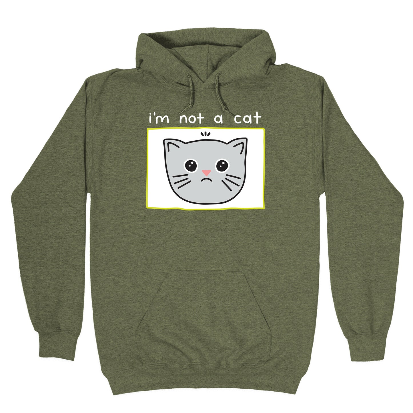 I'm Not A Cat Zoom Filter Hoodie