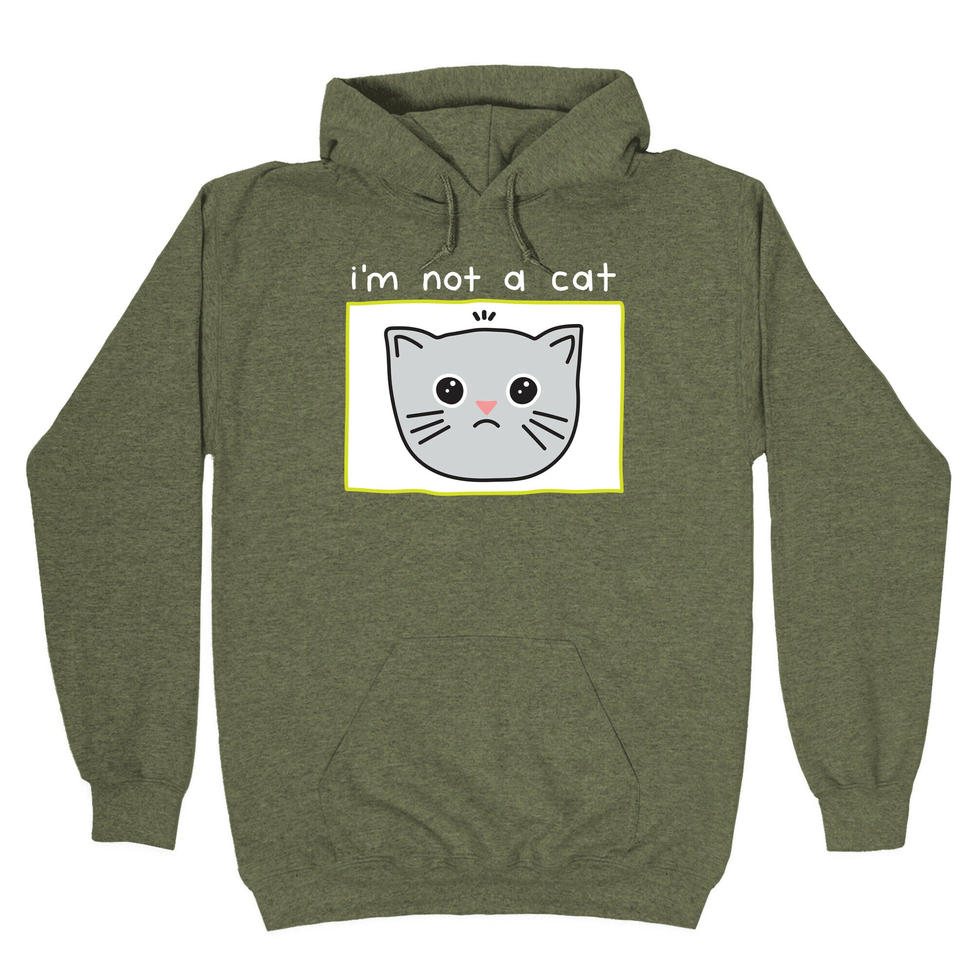 I'm Not A Cat Zoom Filter Hoodie