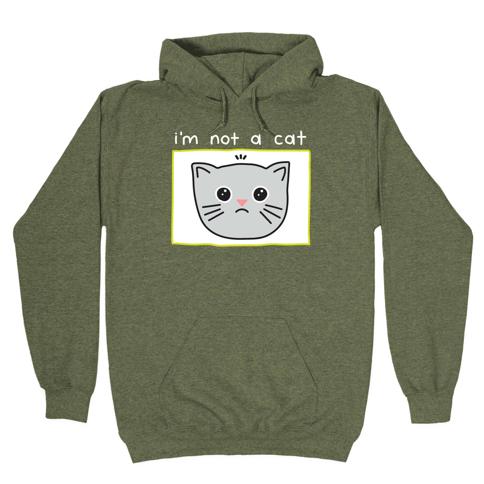 I'm Not A Cat Zoom Filter Hoodie