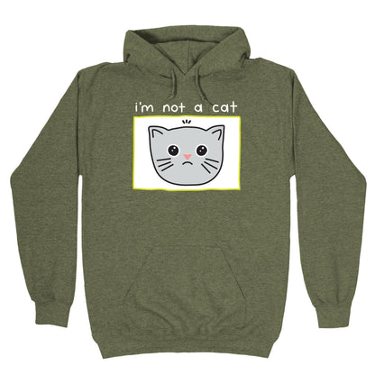 I'm Not A Cat Zoom Filter Hoodie