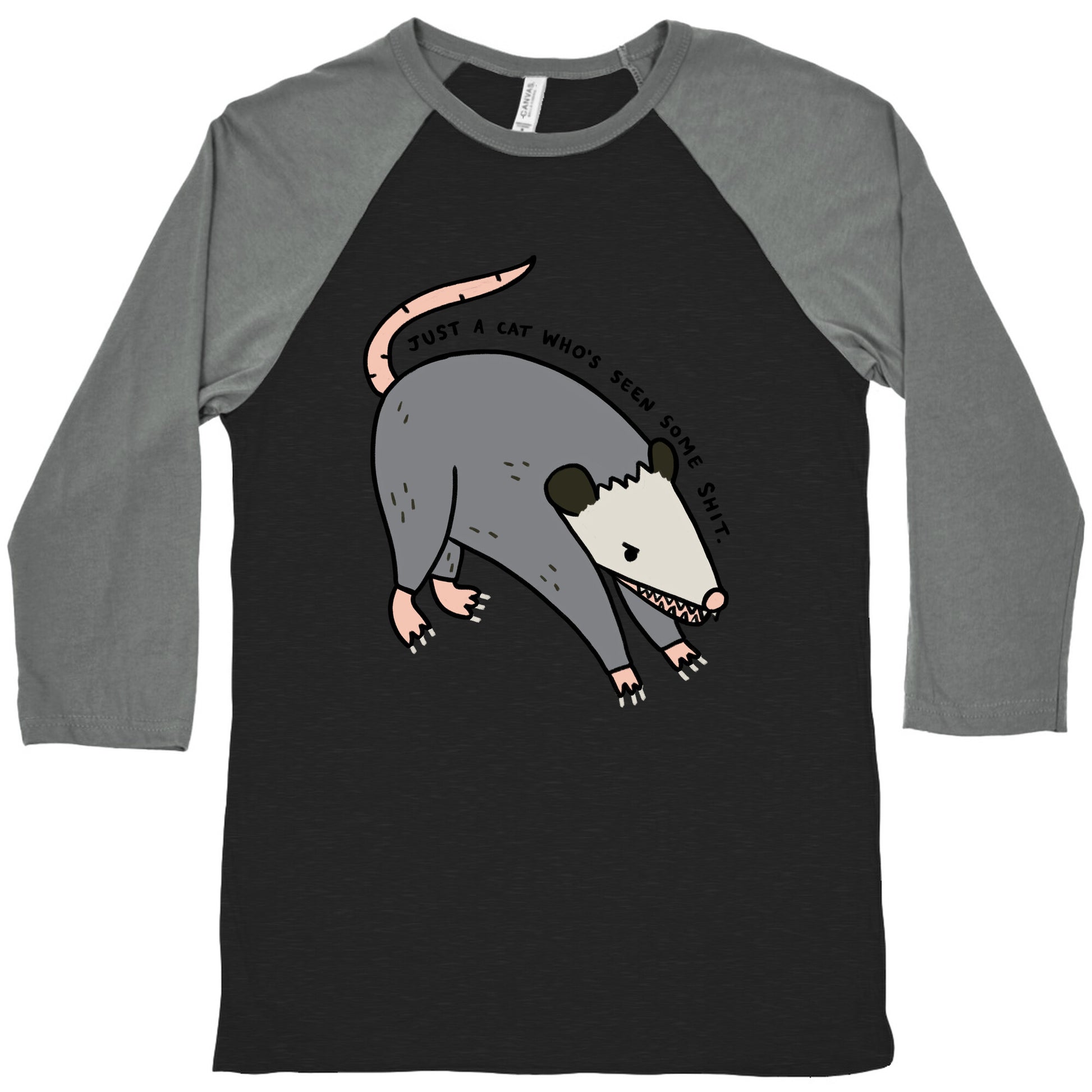 Just A Cat Who's Seen Some Shit Opossum Baseball Tee