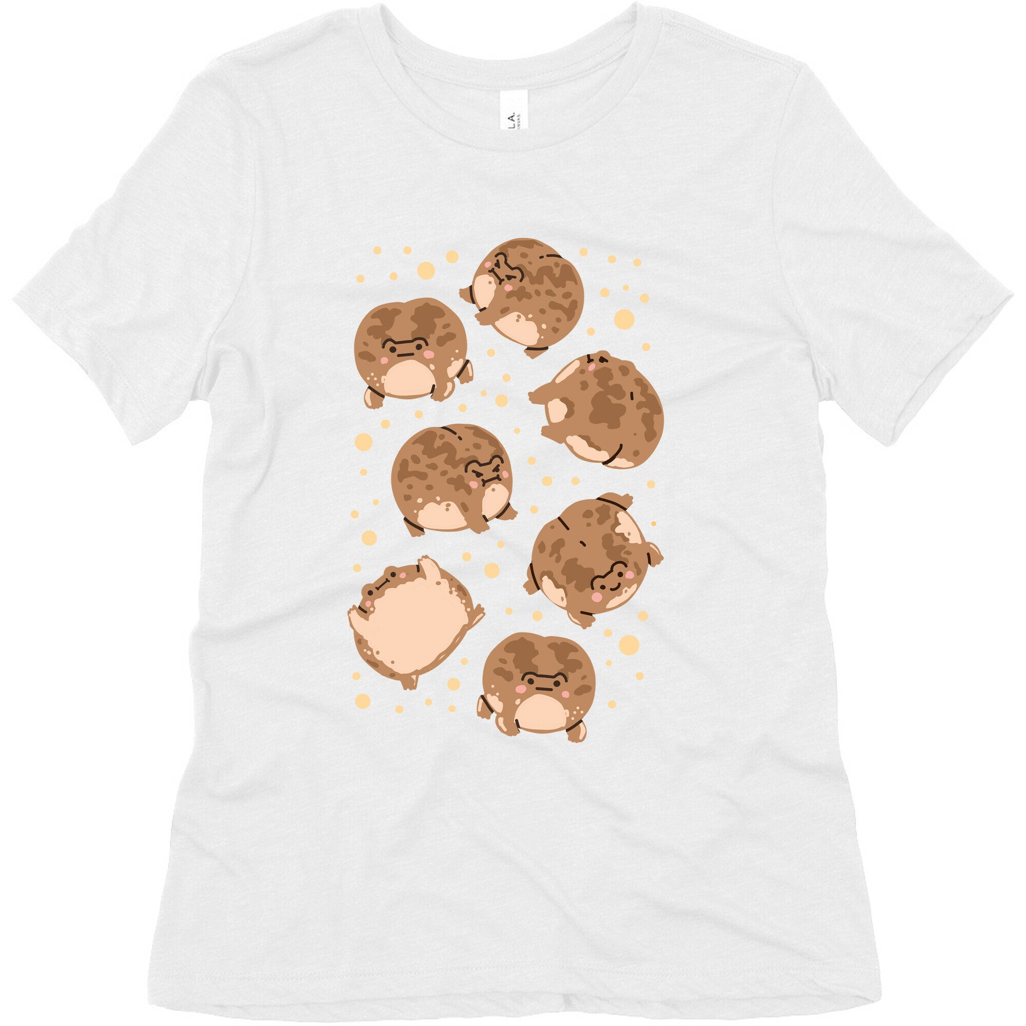 Desert Rain Frog Pattern Women's Triblend Tee