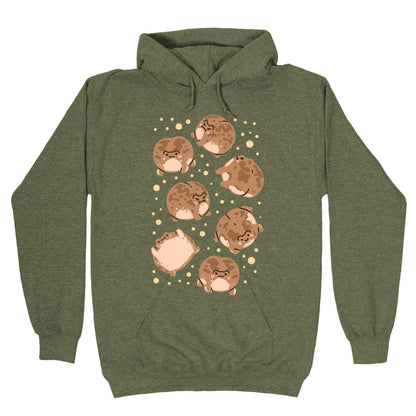 Desert Rain Frog Pattern Hoodie