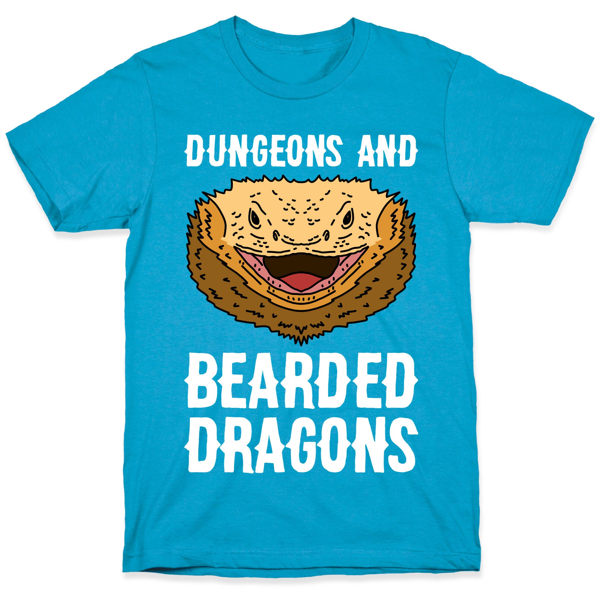 Dungeons And Bearded Dragons Unisex Triblend Tee