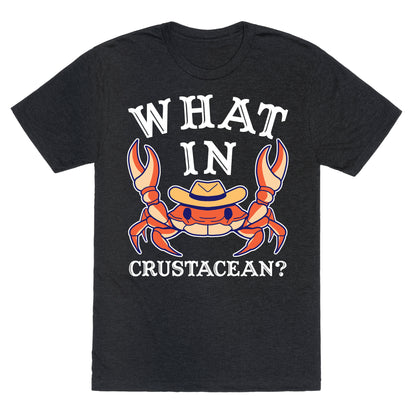 What In Crustacean? Unisex Triblend Tee