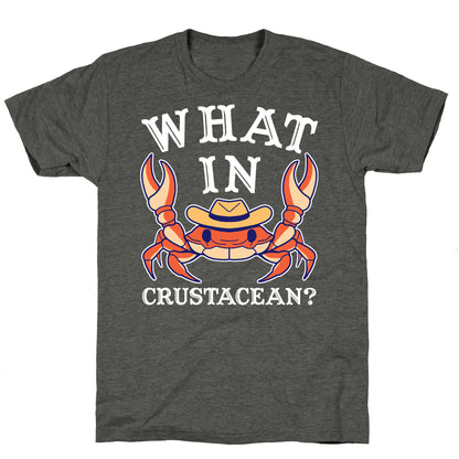 What In Crustacean? Unisex Triblend Tee