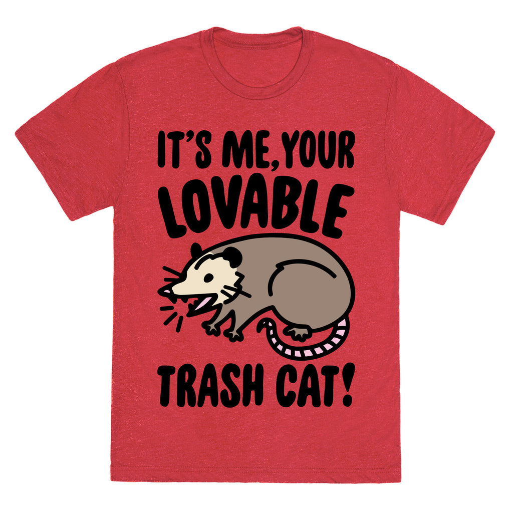 It's Me Your Lovable Trash Cat Unisex Triblend Tee