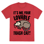 It's Me Your Lovable Trash Cat Unisex Triblend Tee