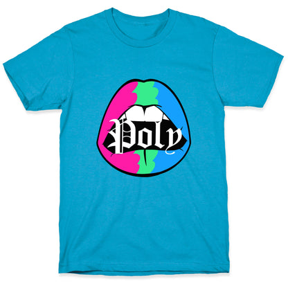 Poly Pride Lips Unisex Triblend Tee