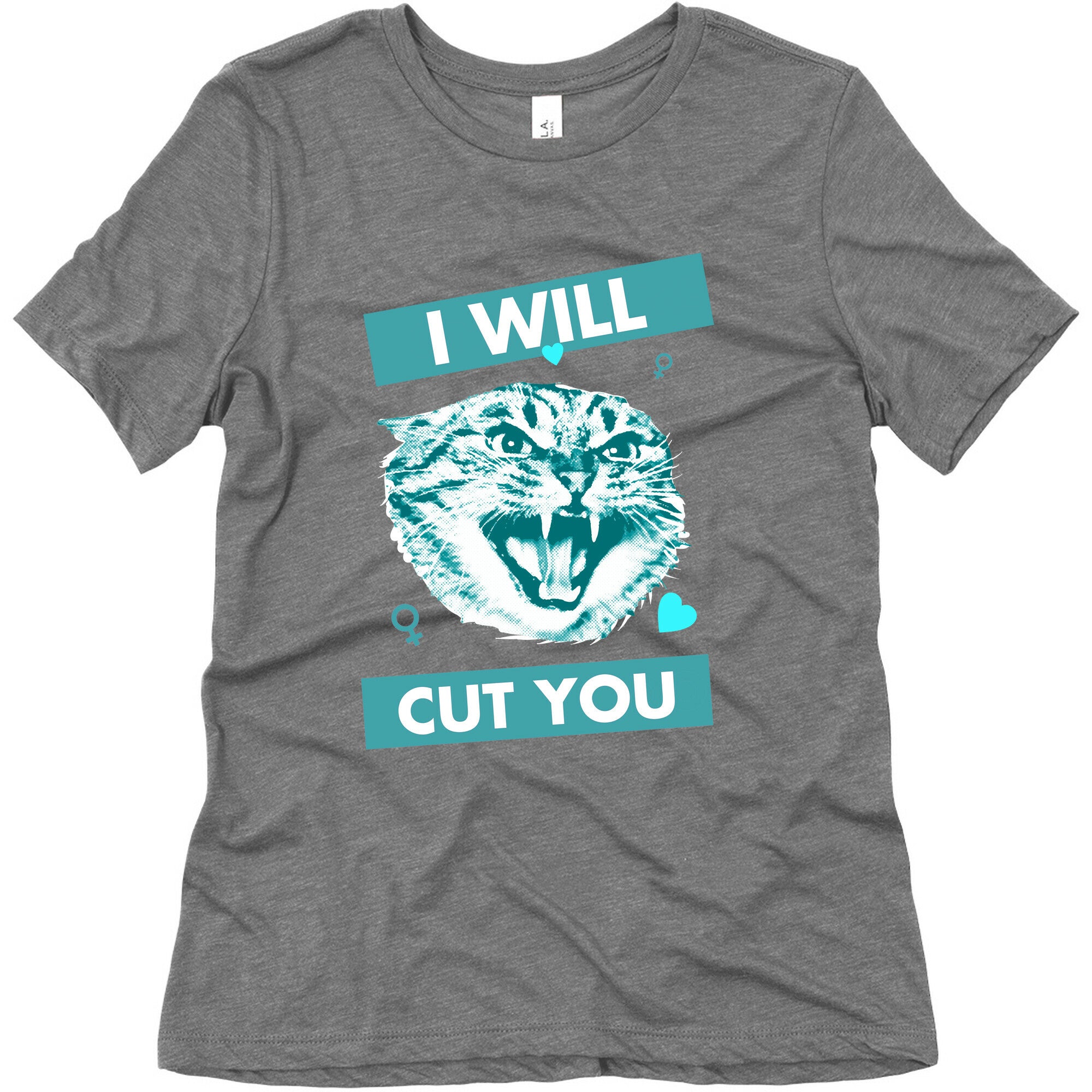 I Will Cut You Women's Triblend Tee