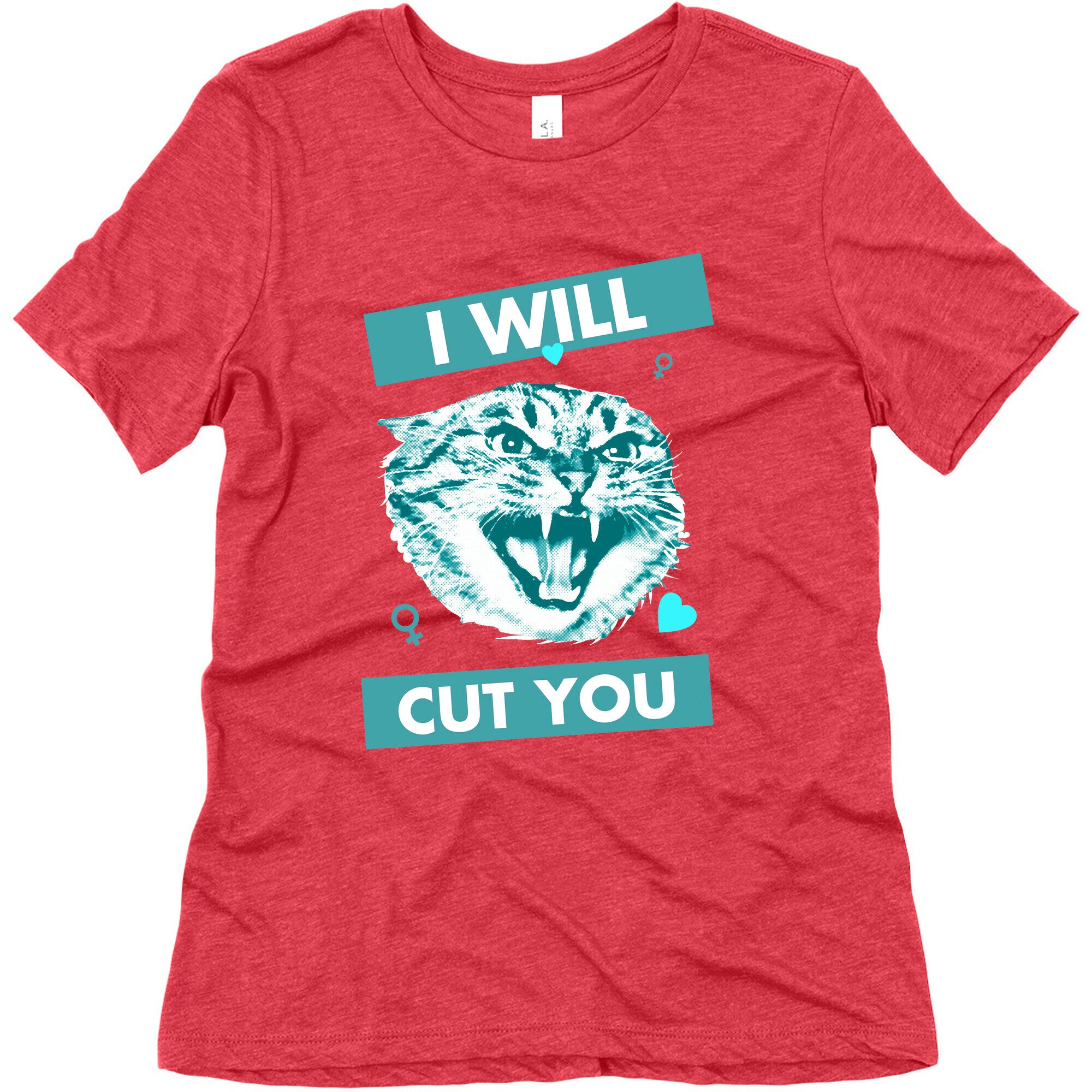 I Will Cut You Women's Triblend Tee