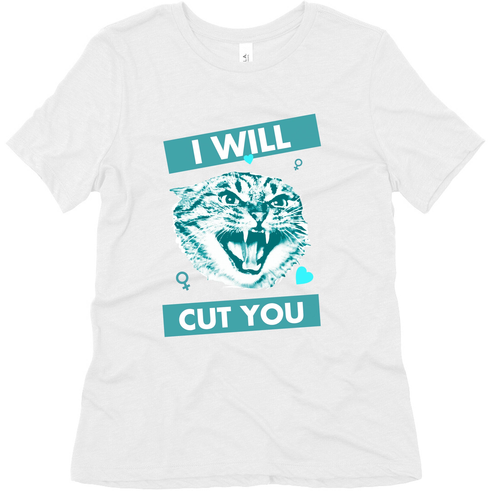 I Will Cut You Women's Triblend Tee