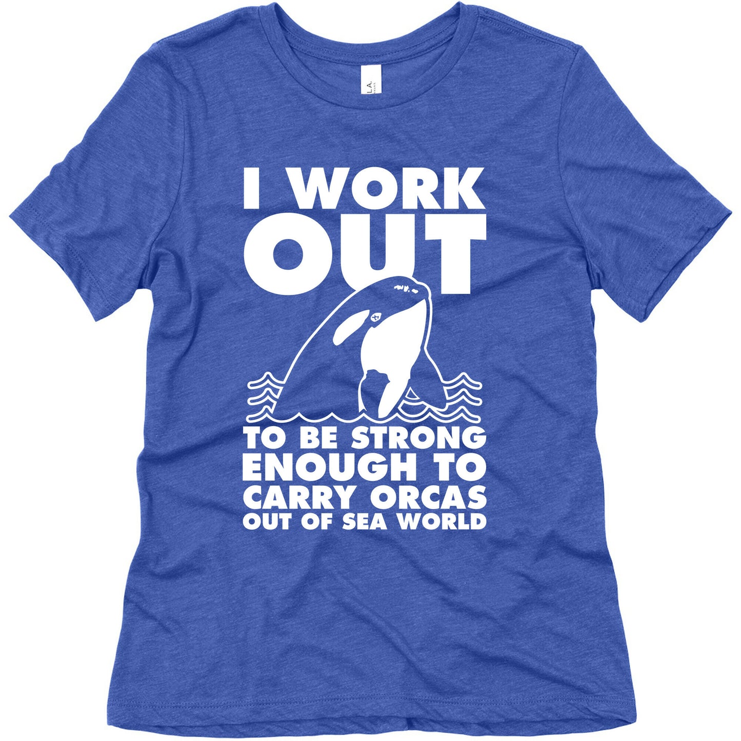 I Work Out to be Strong Enough to Carry Orcas Out of Sea World Women's Triblend Tee