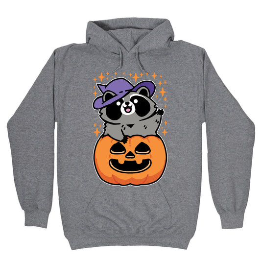 Cute Halloween Raccoon Hoodie