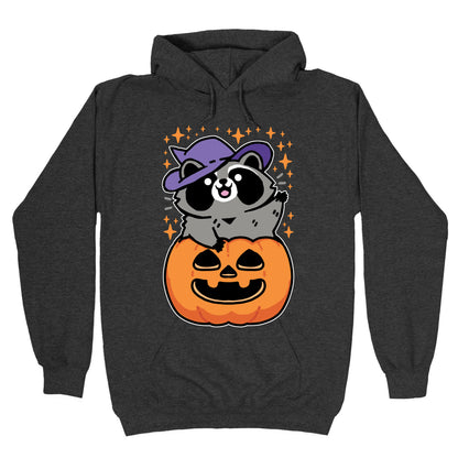 Cute Halloween Raccoon Hoodie