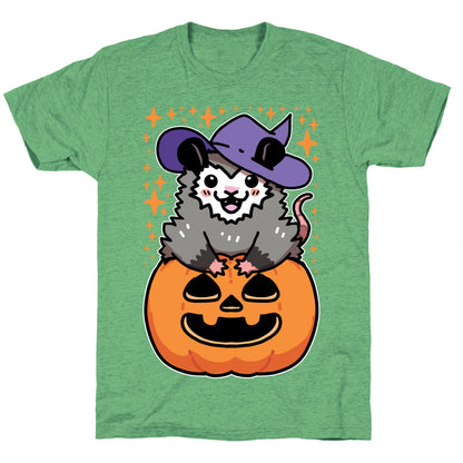 Cute Halloween Possum Unisex Triblend Tee