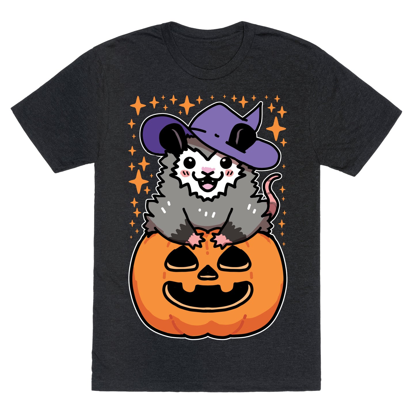 Cute Halloween Possum Unisex Triblend Tee