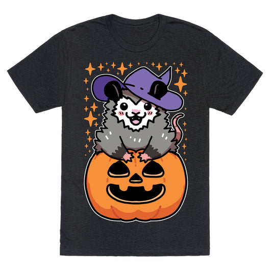 Cute Halloween Possum Unisex Triblend Tee