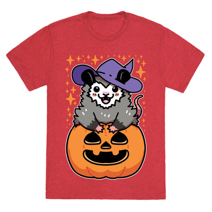 Cute Halloween Possum Unisex Triblend Tee