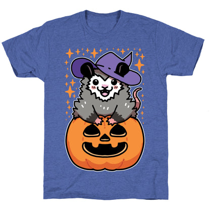 Cute Halloween Possum Unisex Triblend Tee