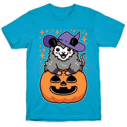 Cute Halloween Possum Unisex Triblend Tee