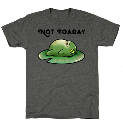 Not Toaday  Unisex Triblend Tee